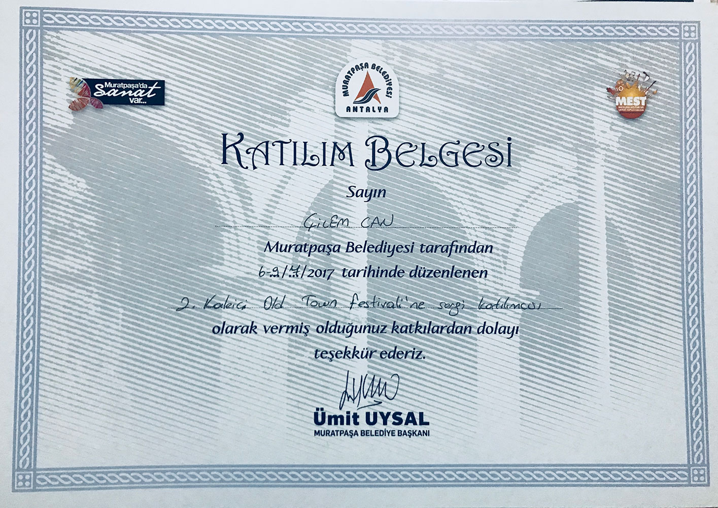 SERİM SERGİSİ KATILIM BELGESİ