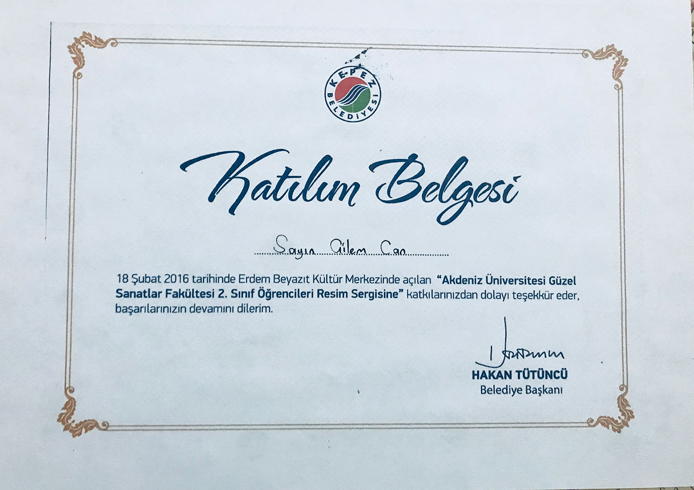 SERİM SERGİSİ KATILIM BELGESİ