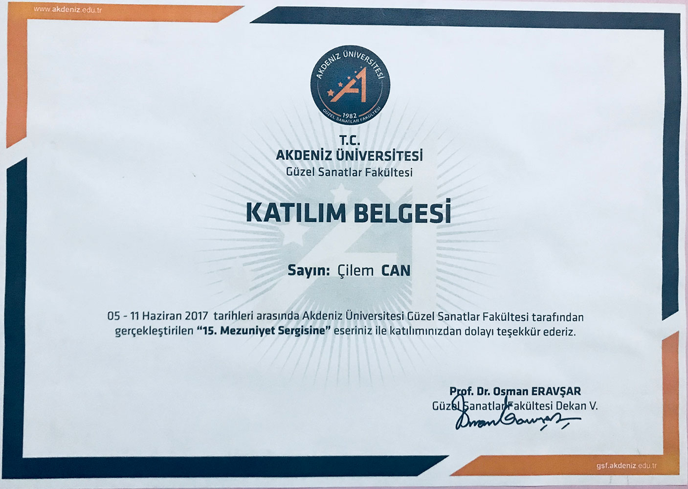 SERİM SERGİSİ KATILIM BELGESİ